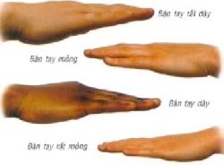 Độ dày mỏng của bàn tay