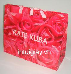 túi giấy họa tiết hoa hồng sặc sỡ
