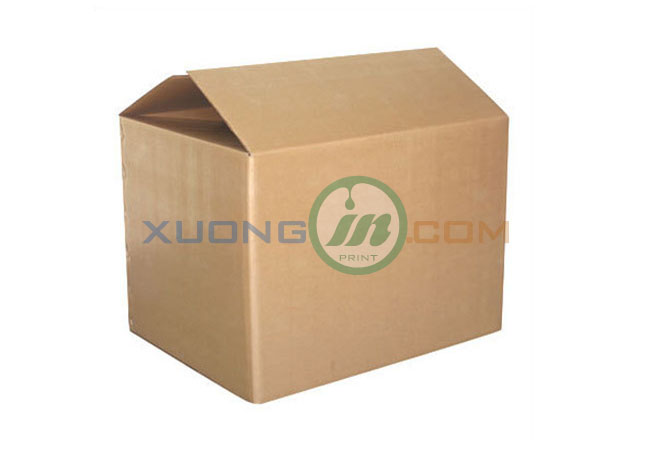 Thung Carton 022