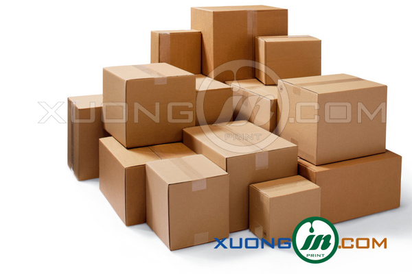 thung-carton-026