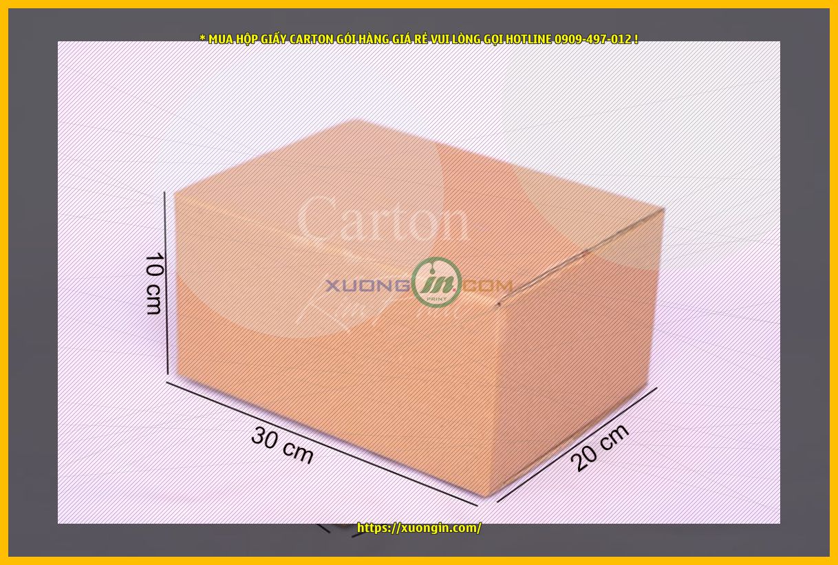 Hộp carton 30x20x10 cm – Hộp Carton giá rẻ | Hộp Carton đóng hàng | In hộp carton TpHCM.
