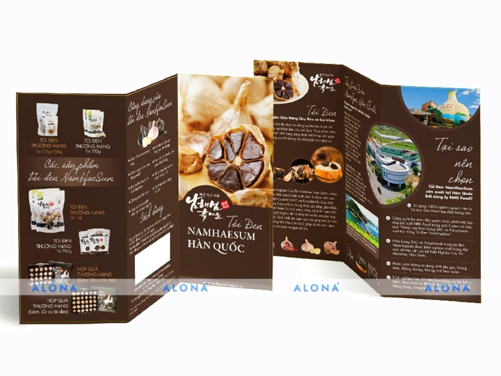 Alona – In tờ rơi A5 mọi ngân sách tại Tân Bình
