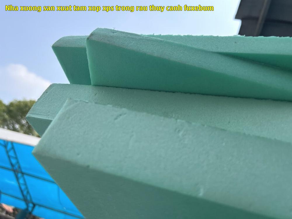 nha xuong san xuat tam xop xps trong rau thuy canh fuxebum