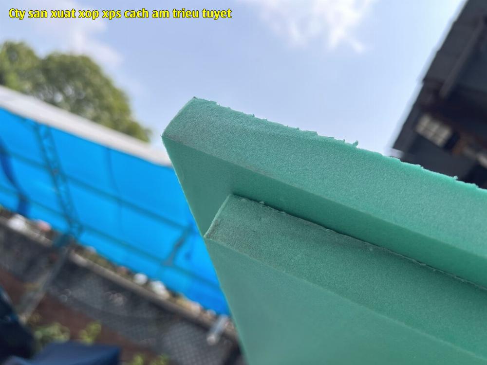 6. Tấm xốp XPS số 6. 6. Tấm xốp XPS số 6.
