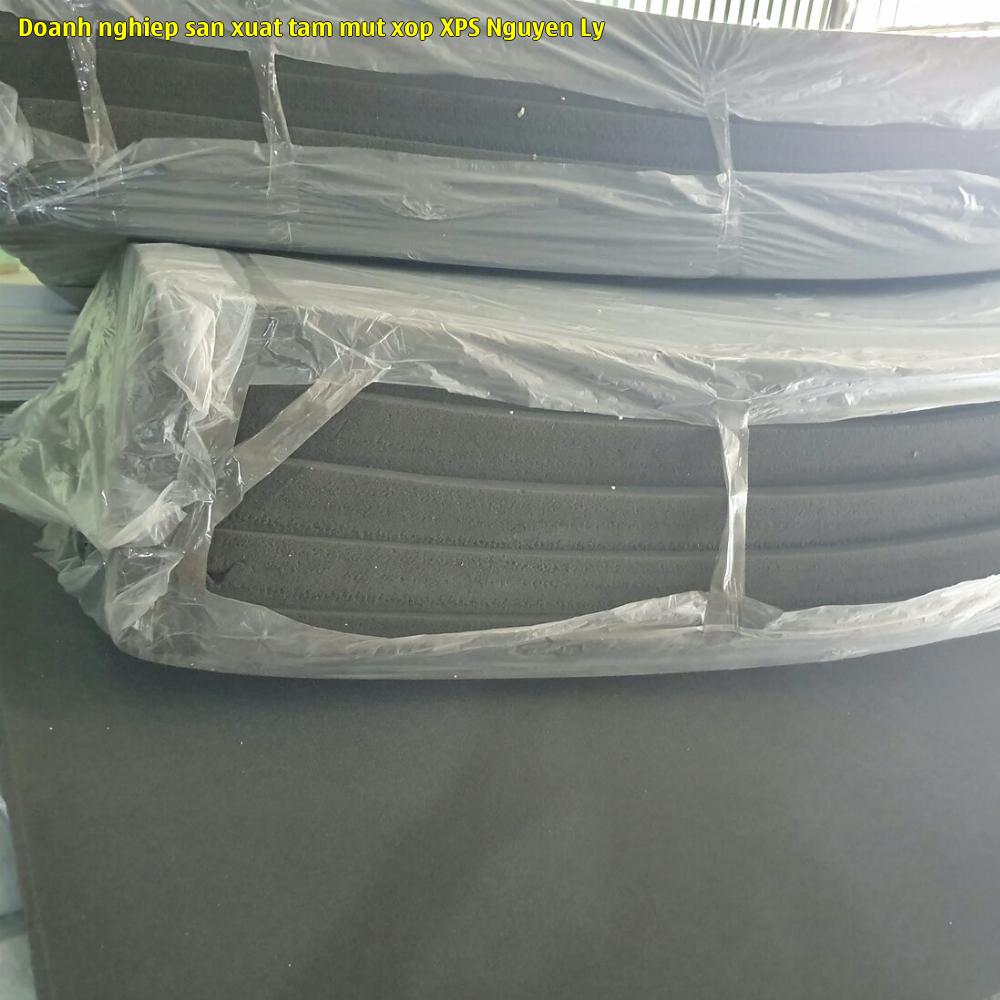 Doanh nghiệp sản xuất tấm mút xốp XPS Nguyễn Ly