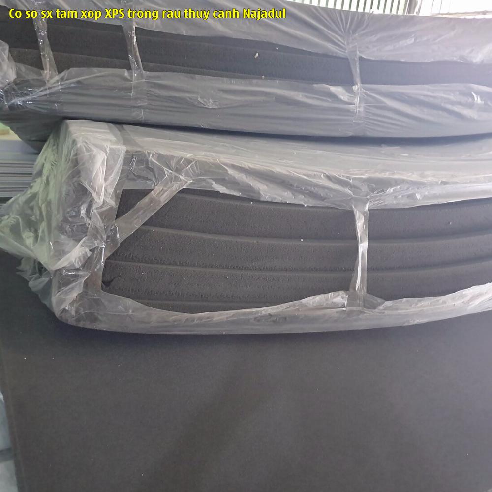 Cơ sở sx tấm xốp XPS trồng rau thủy canh Najadul