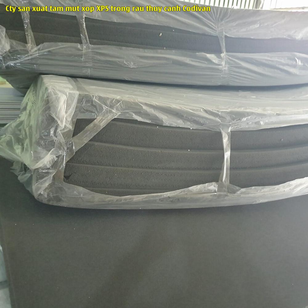 Cty sản xuất tấm mút xốp XPS trồng rau thủy canh Codivan