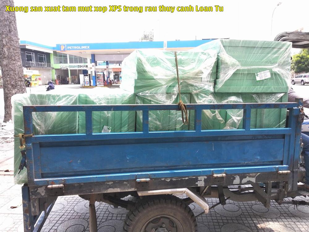 Xưởng sản xuất tấm mút xốp XPS trồng rau thủy canh Loan Từ