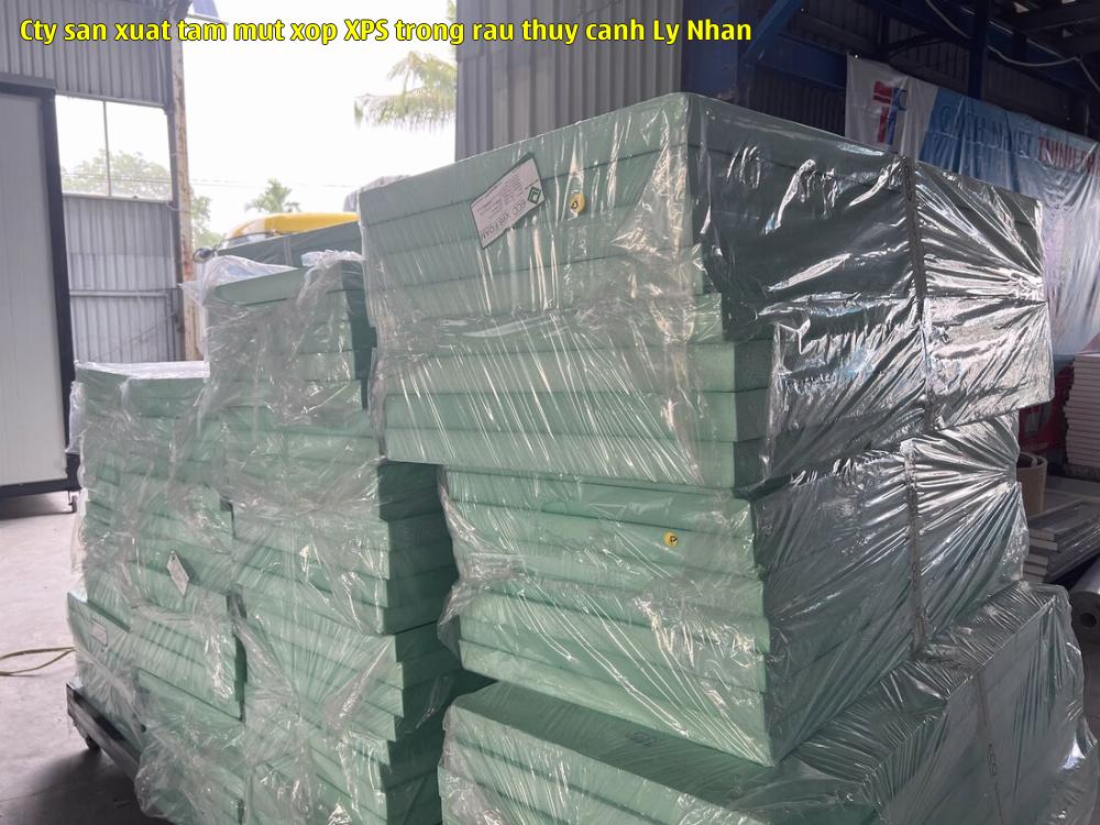 Cty sản xuất tấm mút xốp XPS trồng rau thủy canh Lý Nhàn