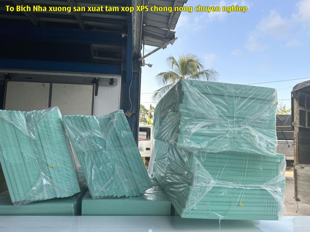 Tô Bích - Nhà xưởng sản xuất tấm xốp XPS chống nóng chuyên nghiệp