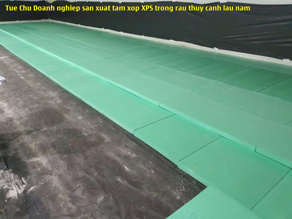 Tuệ Chu - Doanh nghiệp sản xuất tấm xốp XPS trồng rau thủy canh lâu năm