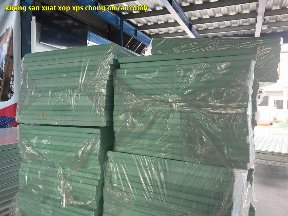 xuong san xuat xop xps chong on cam dinh