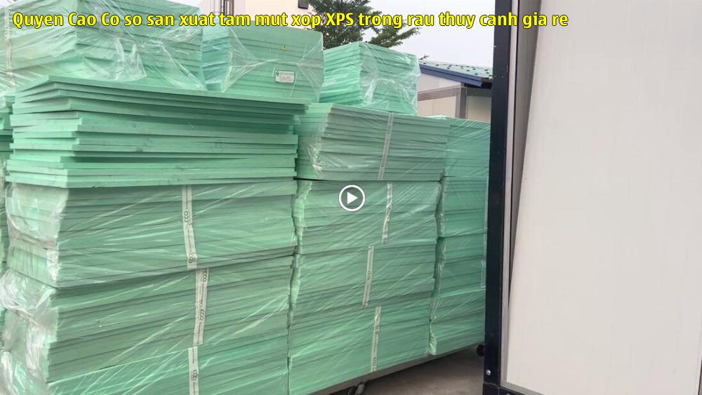 Quyên Cao - Cơ sở sản xuất tấm mút xốp XPS trồng rau thủy canh giá rẻ