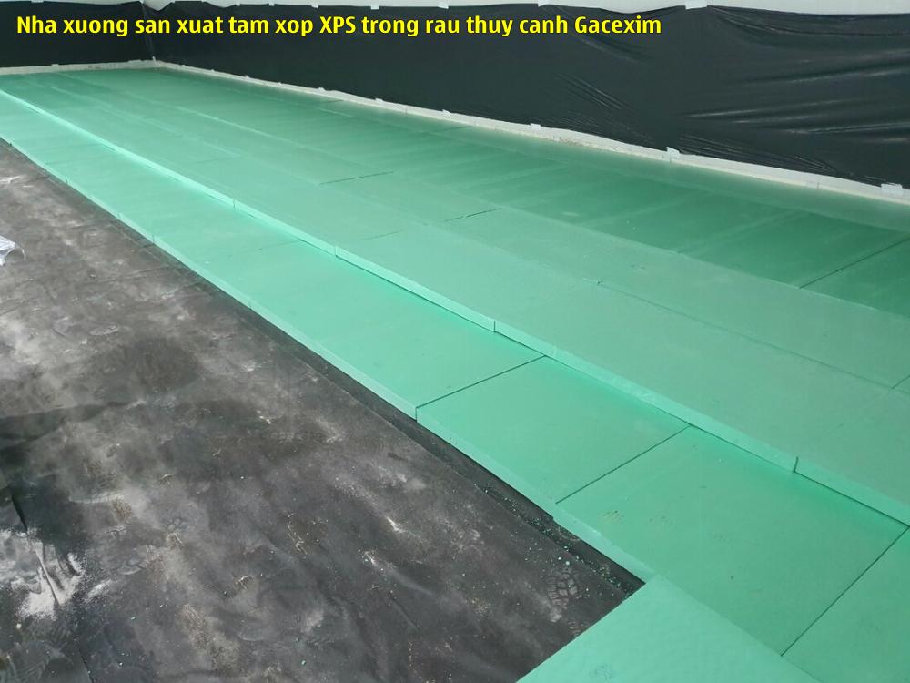 Nhà xưởng sản xuất tấm xốp XPS trồng rau thủy canh Gacexim