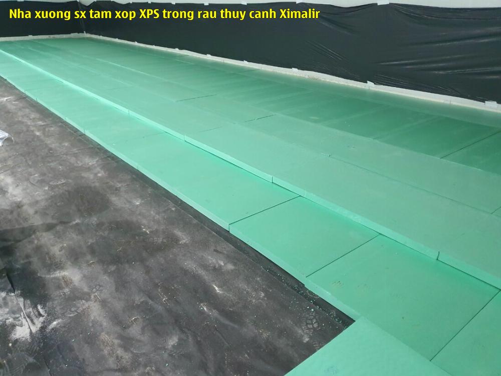 Nhà xưởng sx tấm xốp XPS trồng rau thủy canh Ximalir