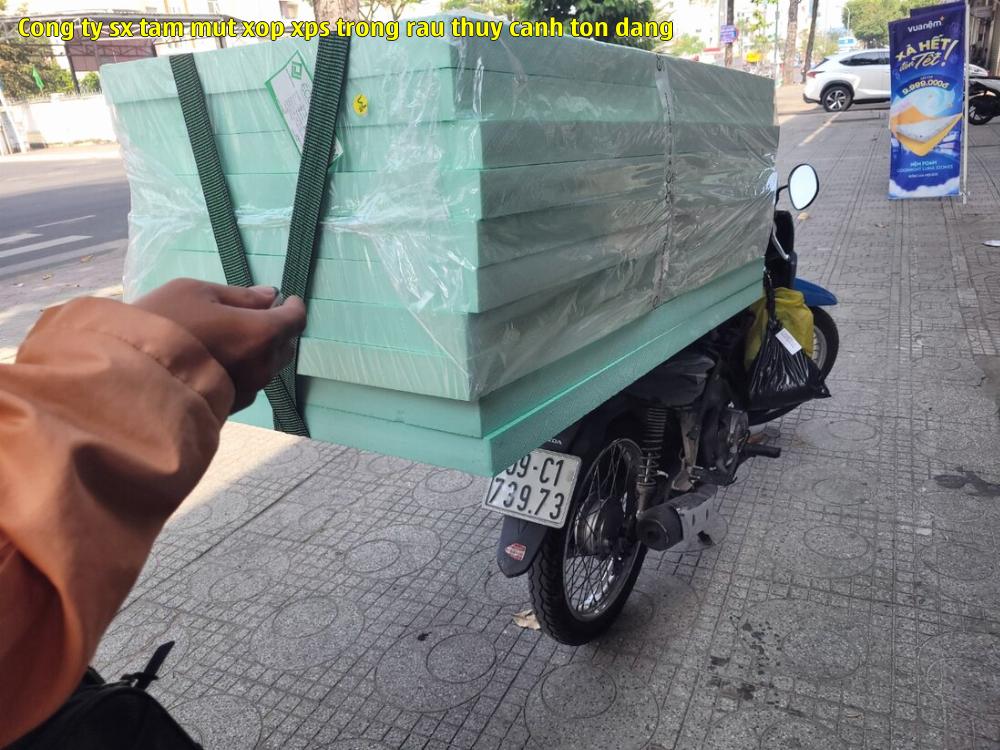 cong ty sx tam mut xop xps trong rau thuy canh ton dang