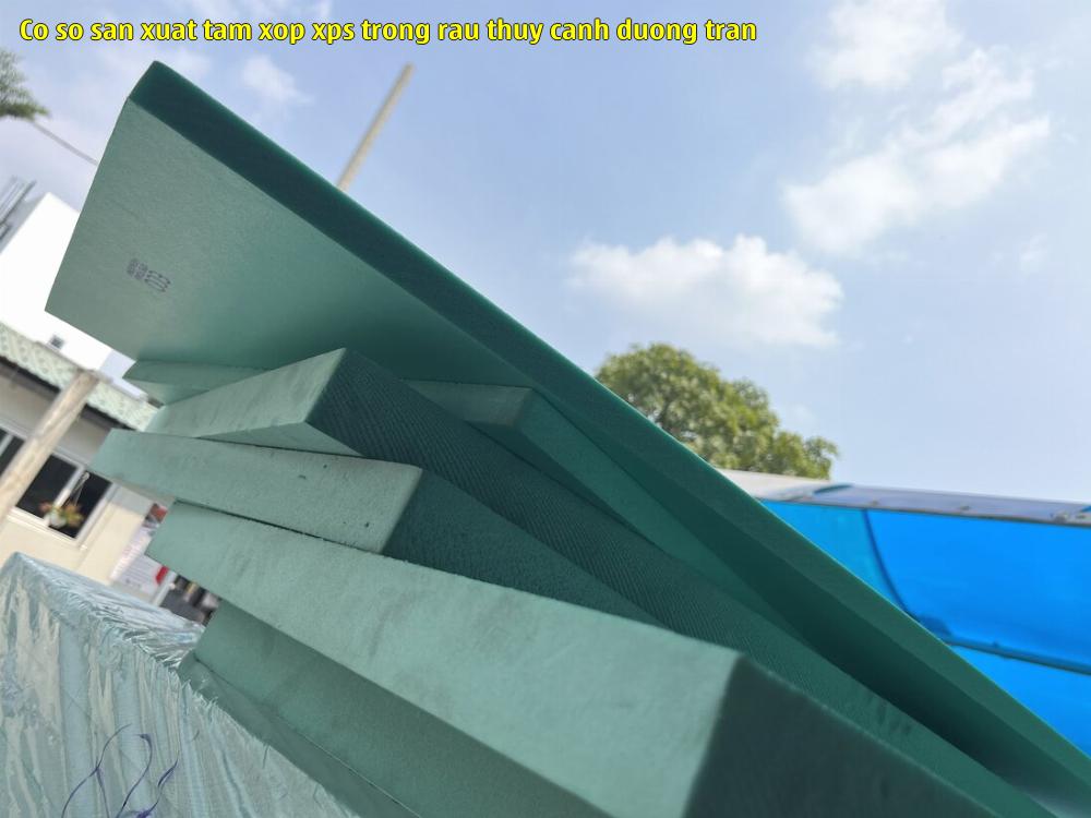 co so san xuat tam xop xps trong rau thuy canh duong tran