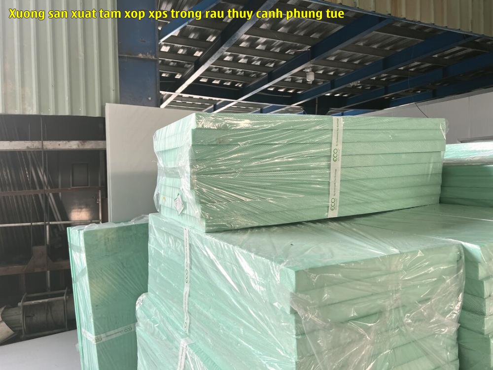xuong san xuat tam xop xps trong rau thuy canh phung tue