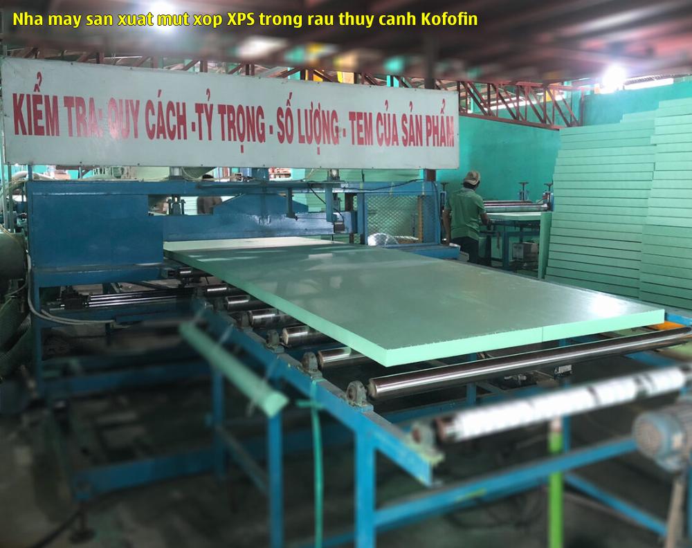 Nhà máy sản xuất mút xốp XPS trồng rau thủy canh Kofofin