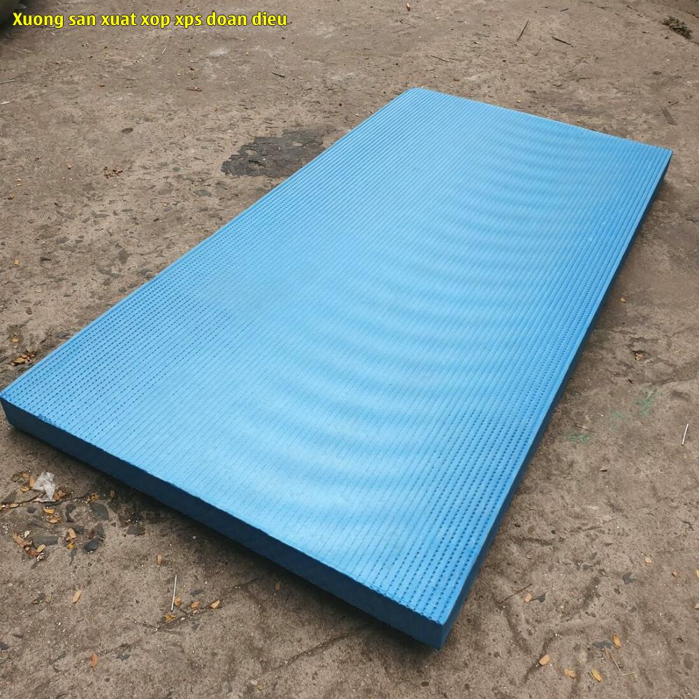 6. Tấm xốp XPS số 6. 6. Tấm xốp XPS số 6.