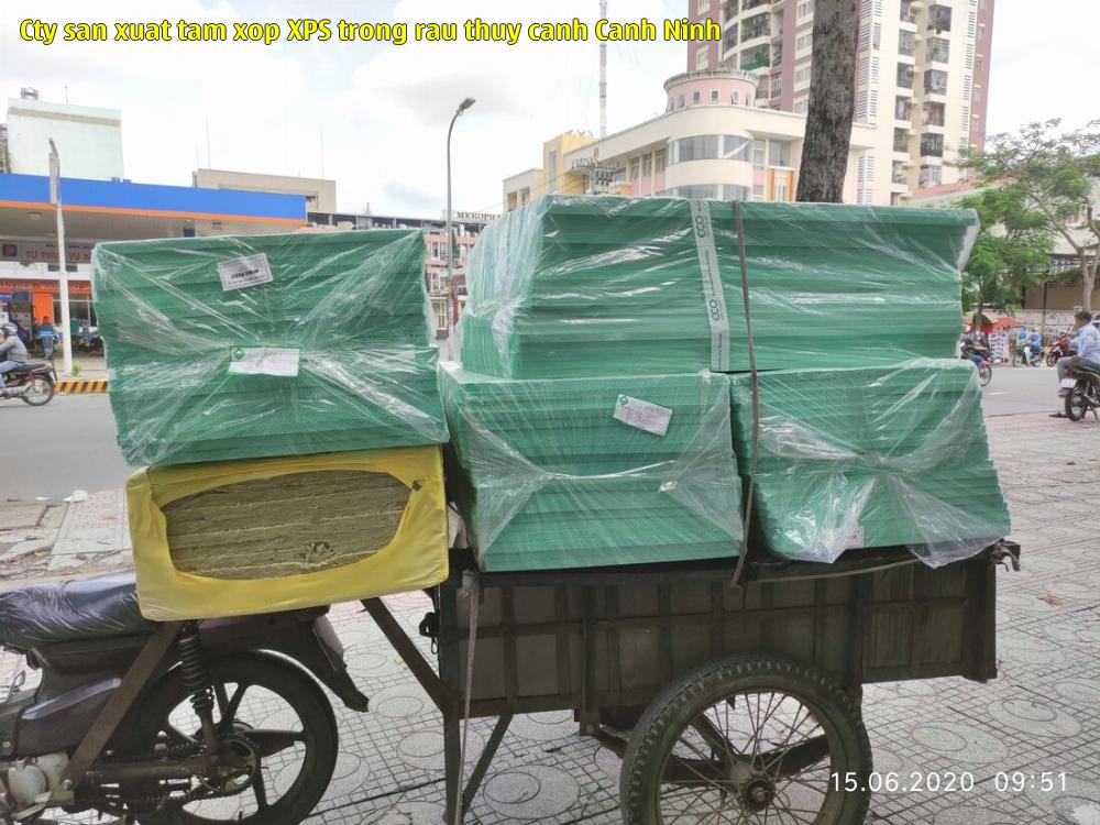 Cty sản xuất tấm xốp XPS trồng rau thủy canh Cảnh Ninh
