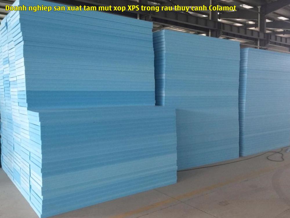 Doanh nghiệp sản xuất tấm mút xốp XPS trồng rau thủy canh Colamot