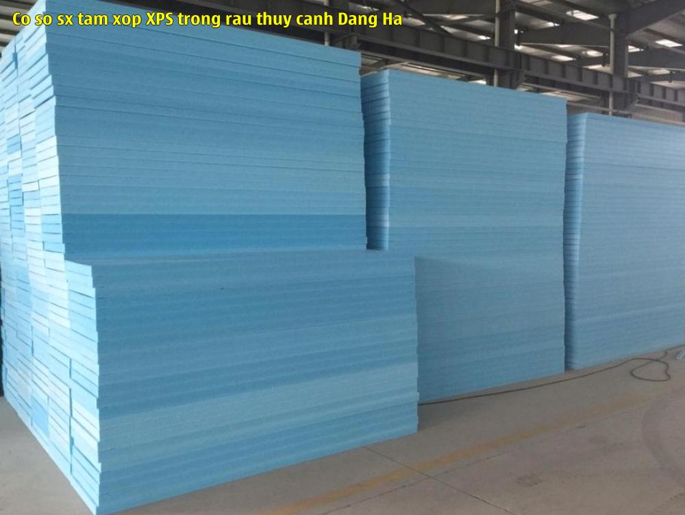 Cơ sở sx tấm xốp XPS trồng rau thủy canh Đặng Hà
