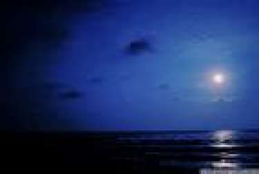 Hai mươi điều cho ta