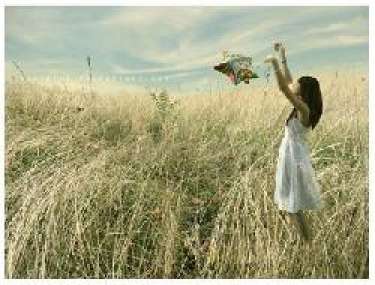 Gửi một người bạn yêu thương