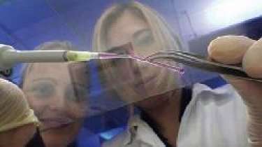 In tế bào máu bằng công nghệ 3D