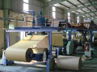 Thông tin cơ bản về một số loại giấy