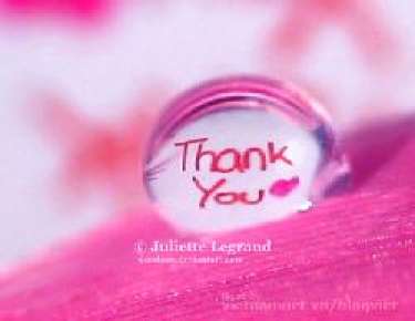 cảm ơn anh nhé .