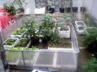 Hàng rào chống chuột đơn giản, hiệu quả