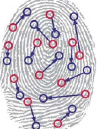 Thông điệp từ vân tay