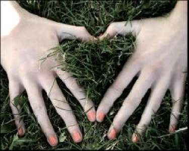 Đôi tay băng giá