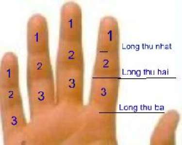 Lóng tay thứ nhất nói gì?