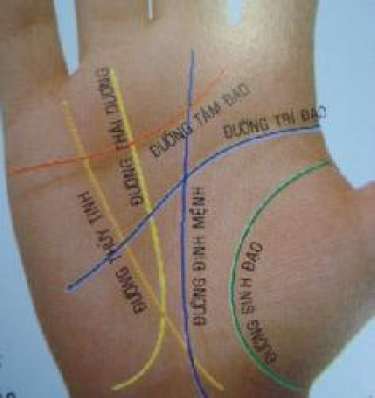 Cách xem chỉ tay