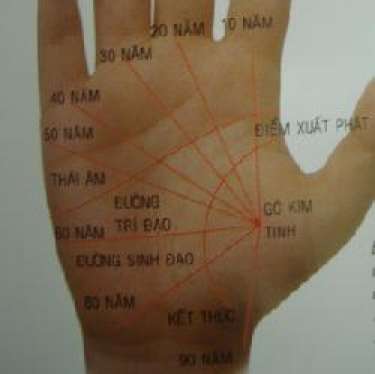 Lòng bàn tay như bản đồ thời gian