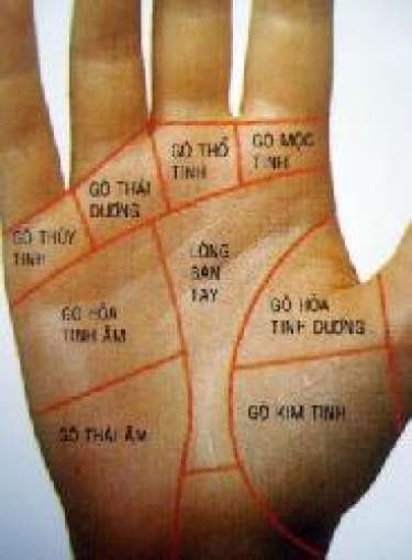 Các gò của bàn tay