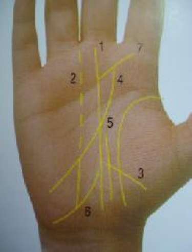 Email       Bản in  Đường định mệnh