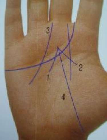 Email          Bản in  Đường thái dương