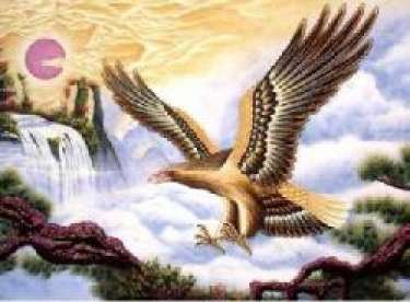 Chiêm bao về đại bàng