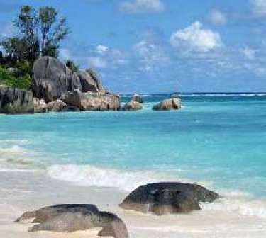 Email Bản in Mơ thấy bãi biển: may mắn đang đến bên bạn