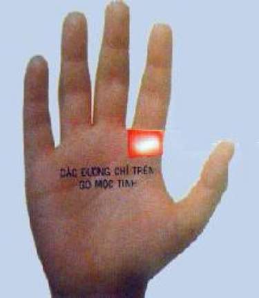 Các đường trên gò mộc tinh