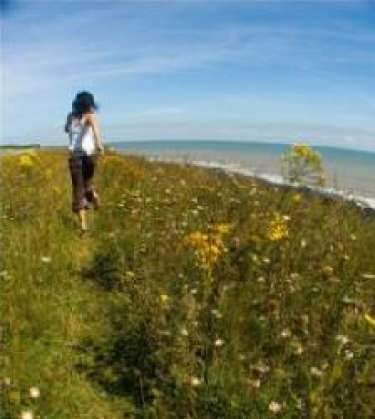 Email Bản in “Tôi bị săn đuổi”