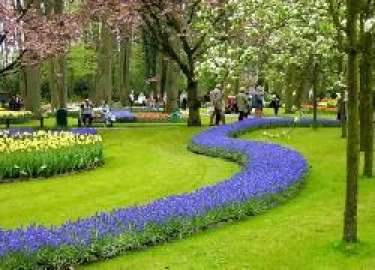 Mơ thấy phong cảnh