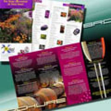 Kỹ thuật cán màng