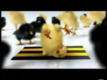 Quảng cáo Beeline