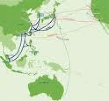 Lưu lượng Internet VN ra quốc tế bị giảm do lỗi cáp