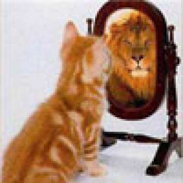 Lập doanh nghiệp thời khủng hoảng